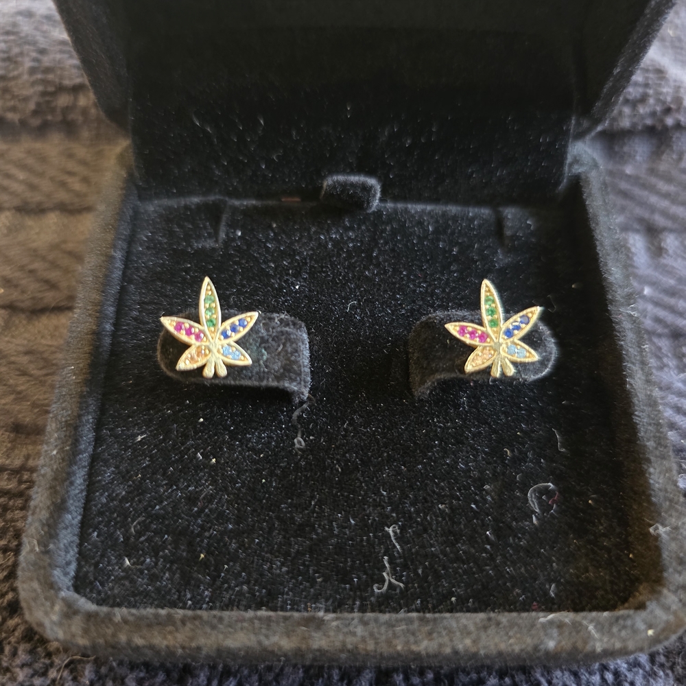 Eye Candy Vibrant Leaf Earrings